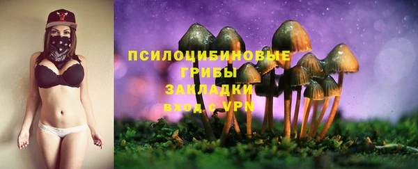крисы Абдулино