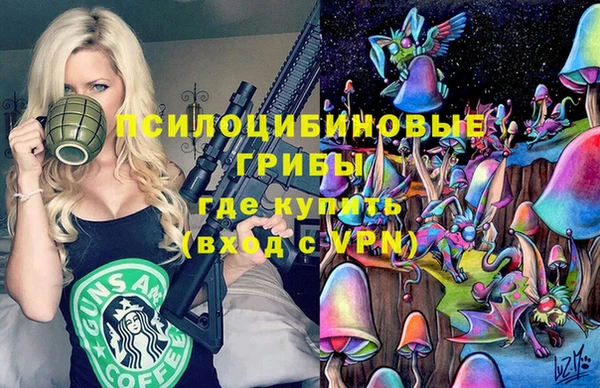 гашик Покачи