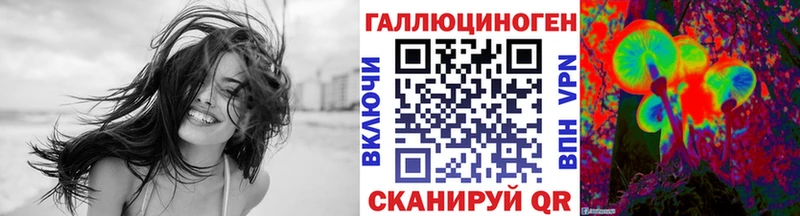 OMG онион  Александровск-Сахалинский  Псилоцибиновые грибы GOLDEN TEACHER  где найти наркотики 